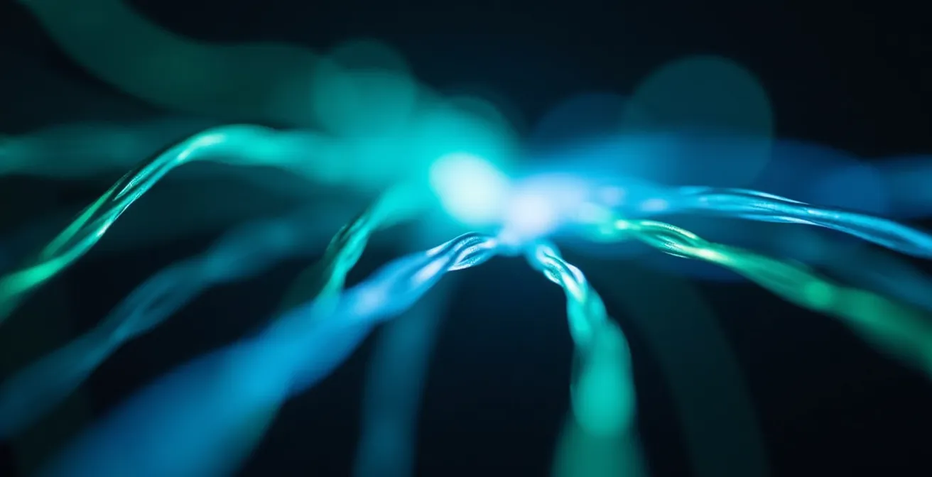 Visualisation de flux de données automatisés pour clôture comptable accélérée